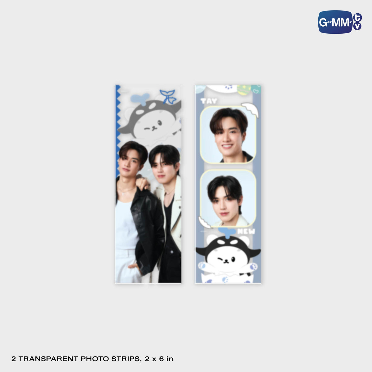 GUNMA26-270 TAYNEW | TRANSPARENT PHOTOSET