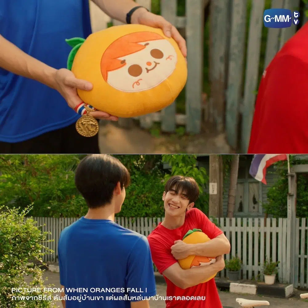【PRE-ORDER】ORANGE PILLOW | WHEN ORANGES FALL
