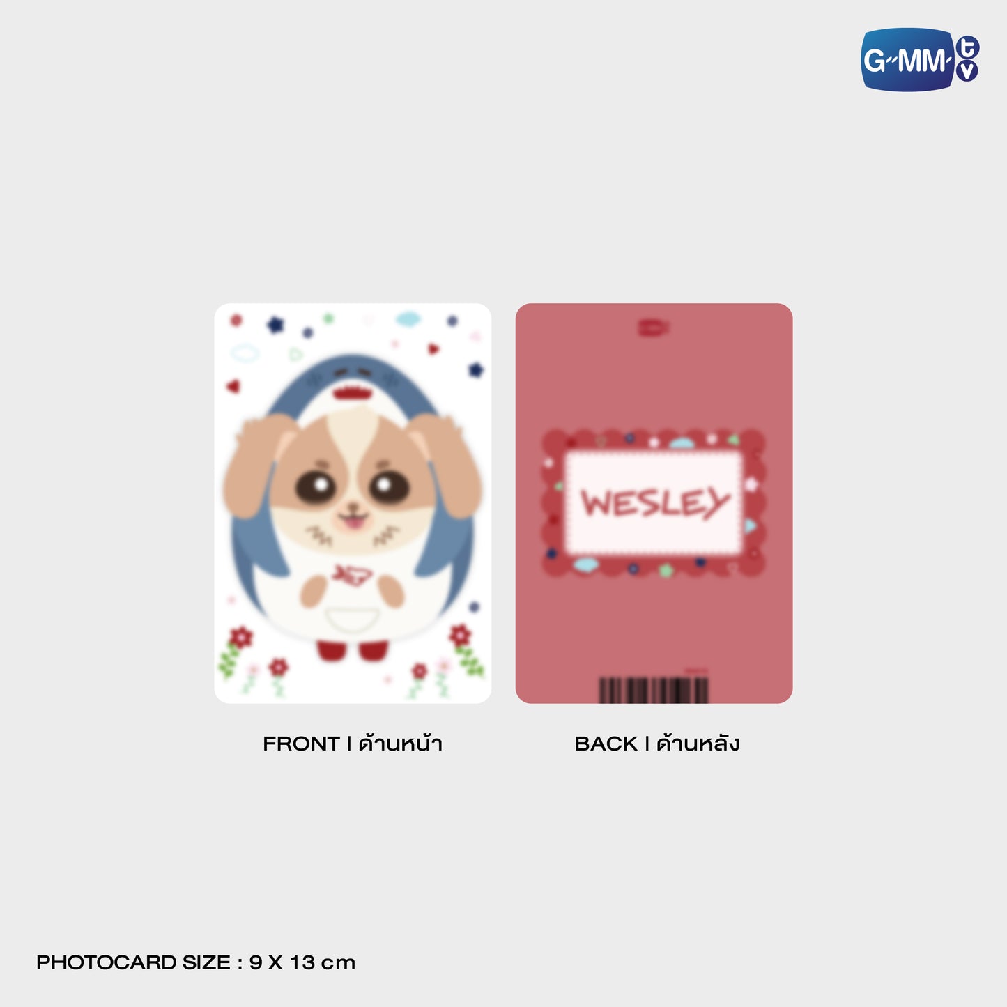 POPOS25-665 CLEAR POUCH WESLEY