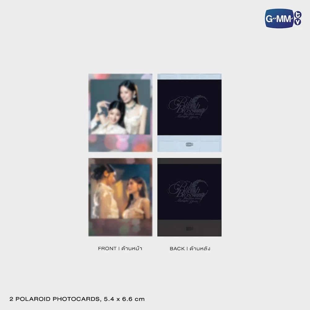 PahnFond MINI PHOTO SET | BLUSH BLOSSOM FAN FEST 2026 : MIDNIGHT BLOOM